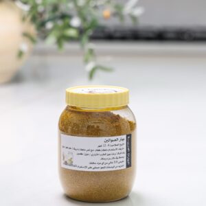 بهار الصالونه